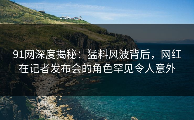 91网深度揭秘：猛料风波背后，网红在记者发布会的角色罕见令人意外