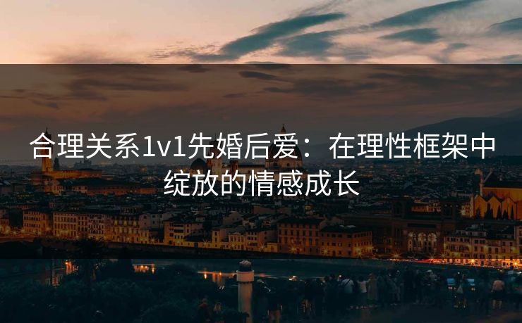 合理关系1v1先婚后爱：在理性框架中绽放的情感成长