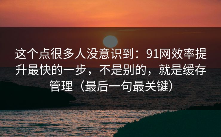 这个点很多人没意识到：91网效率提升最快的一步，不是别的，就是缓存管理（最后一句最关键）