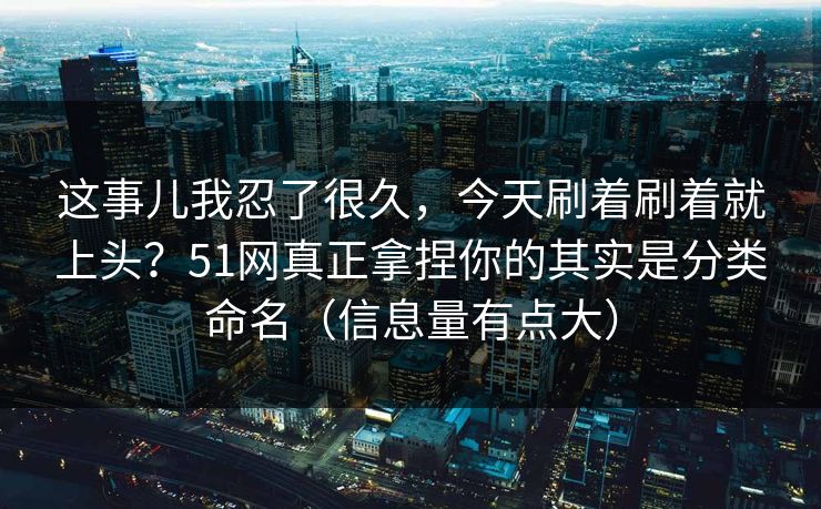 这事儿我忍了很久，今天刷着刷着就上头？51网真正拿捏你的其实是分类命名（信息量有点大）